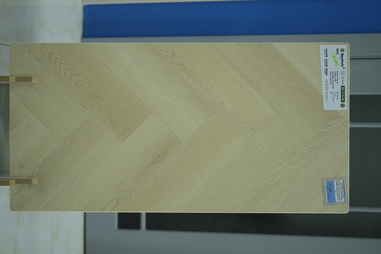 BD 4170 HS